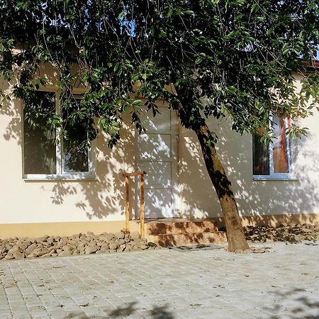 Emilia - Villa & Parking Mukácheve Exterior foto